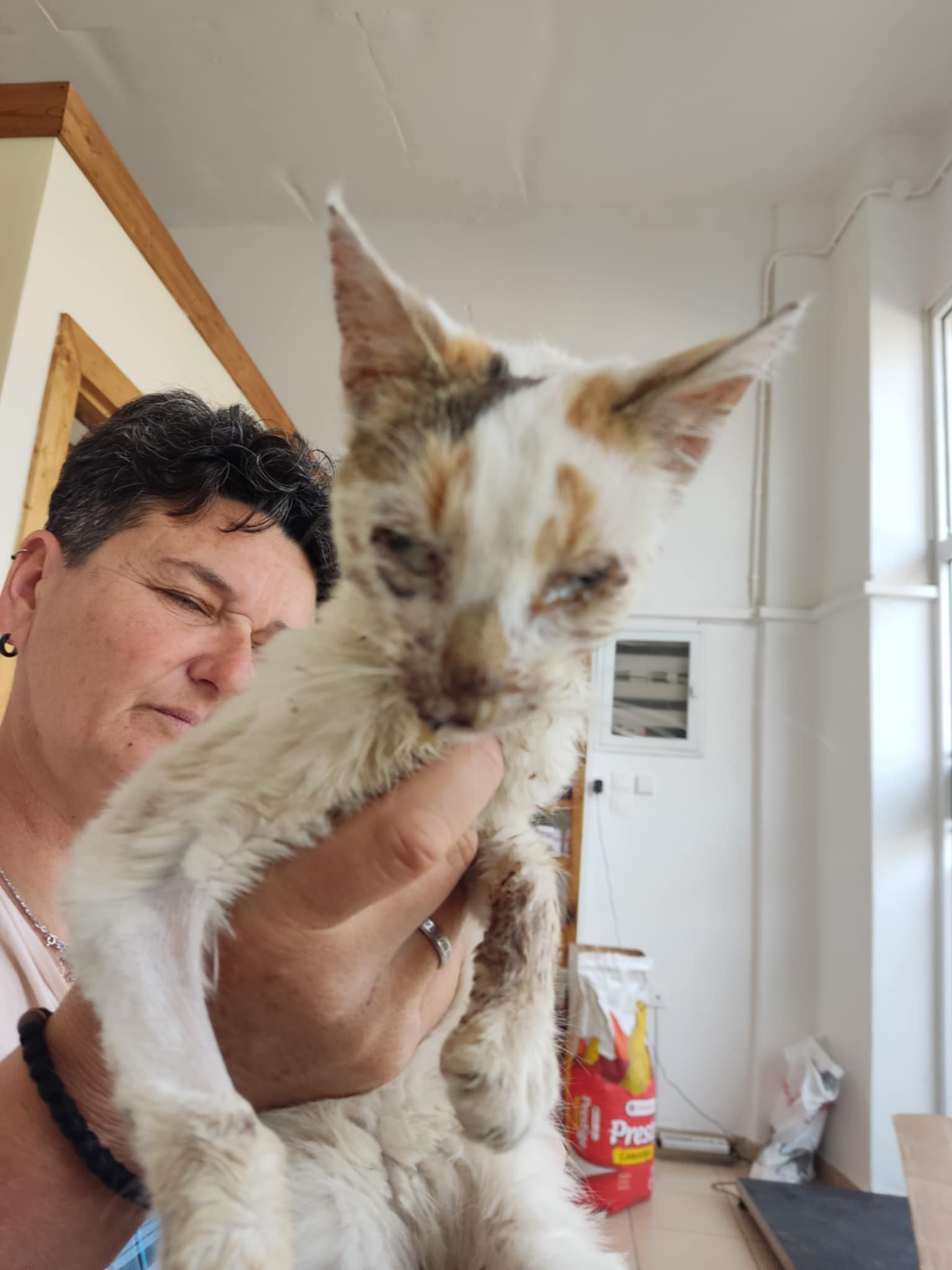 Elpida, hope 2 Elpida, Hope, being held by a veterinary doctor.